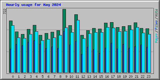 Hourly usage for May 2024