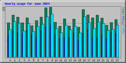 Hourly usage for June 2024